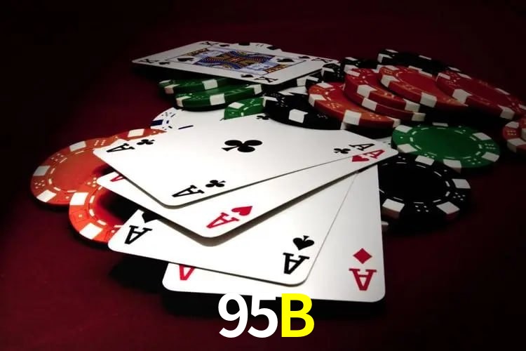 Programa VIP 95B